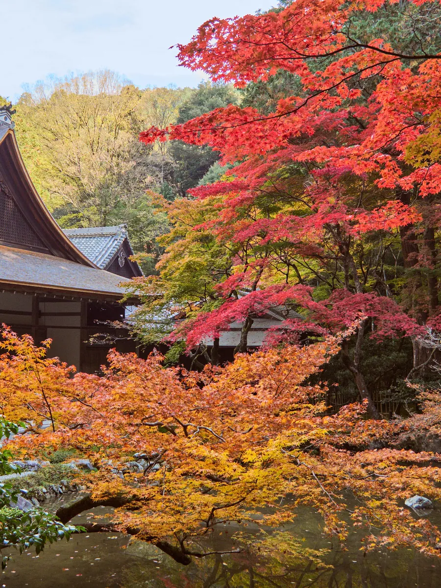 Nanzenji temple garden in autumn, Kyoto