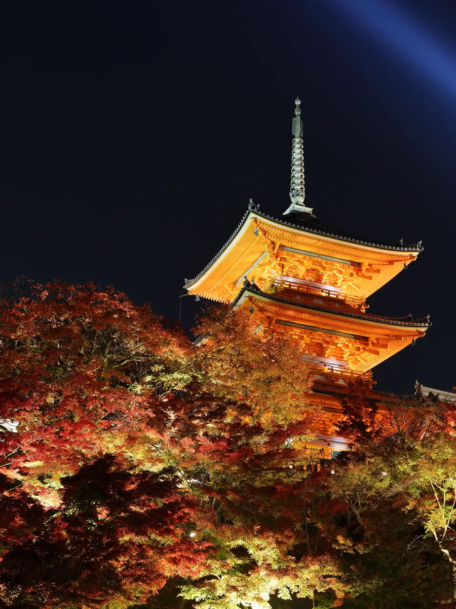 Kiyomizu-dera pagoda lit at night in autumn