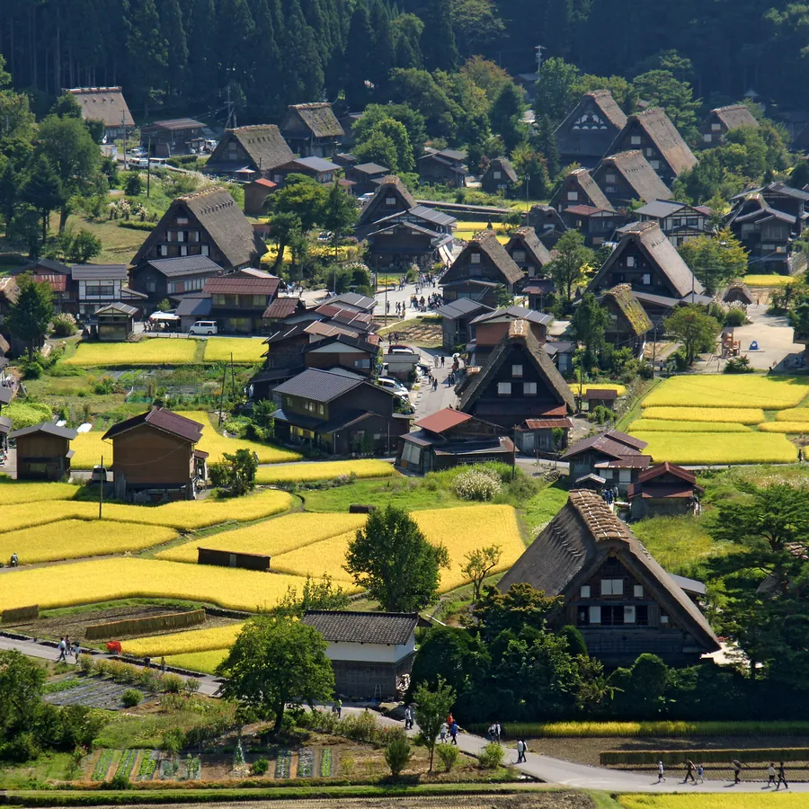 Gassho farmhouses at Shirakawa-go