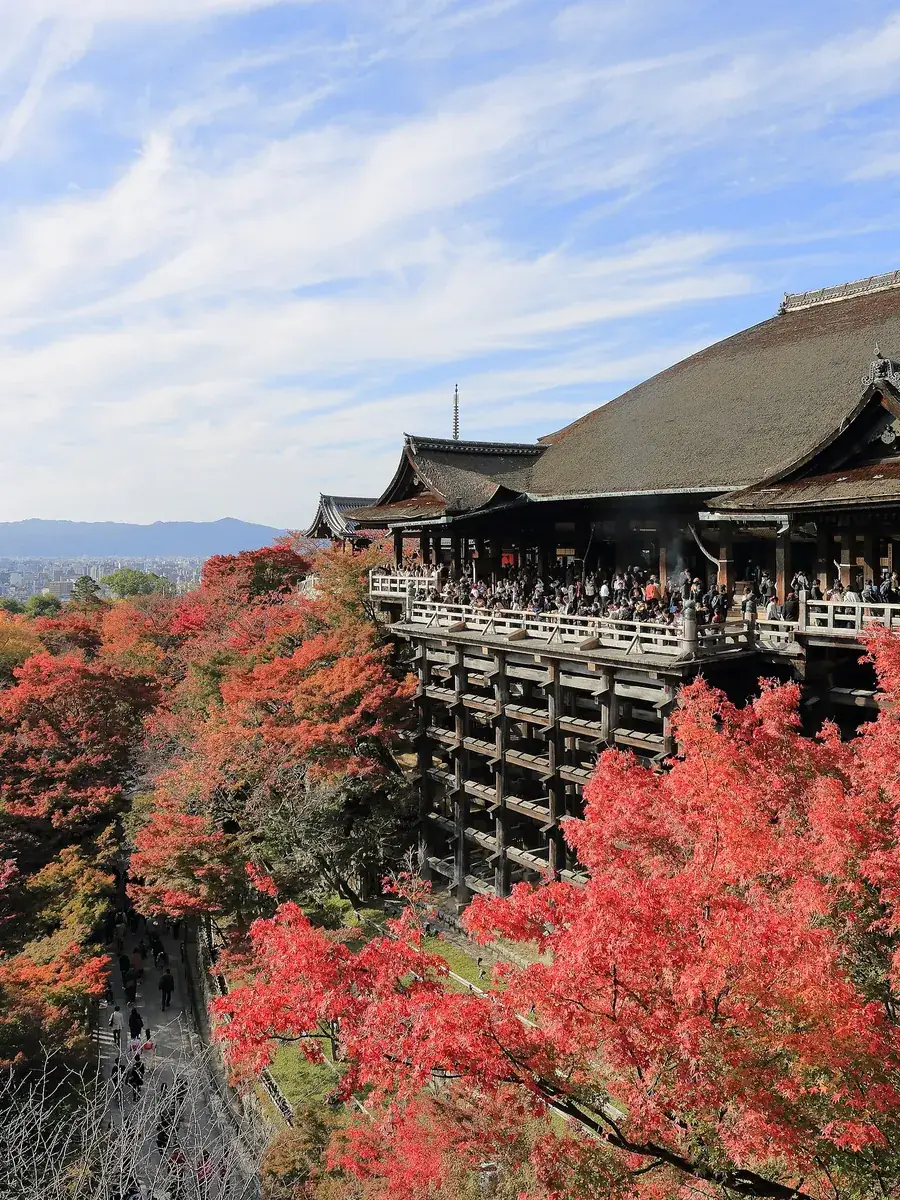 Kiyomizu-dera pagoda among red maples, Kyoto